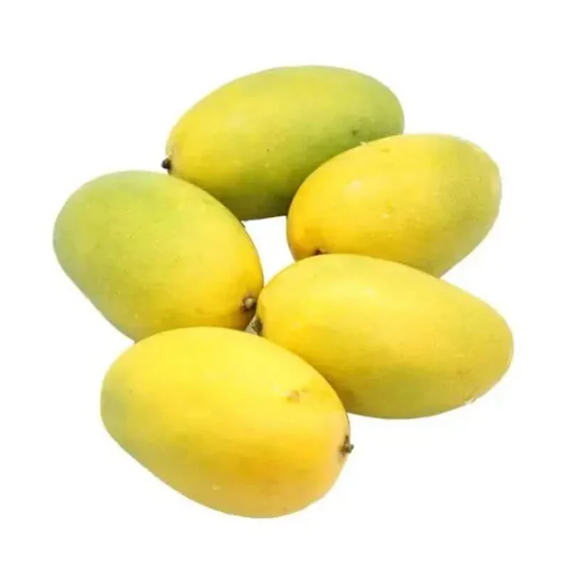 Chausa