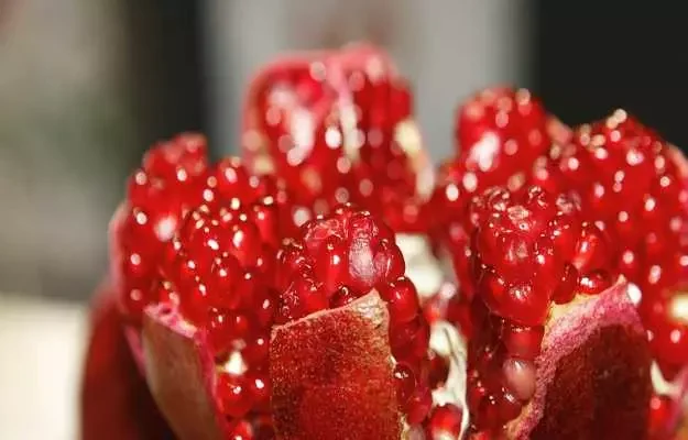 Pomegranate