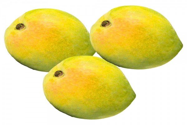 Payari