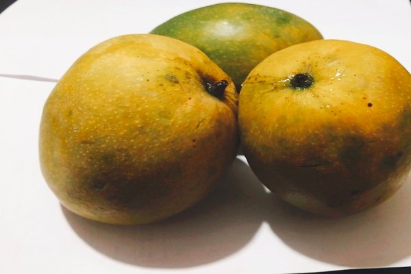 Malgova Mango